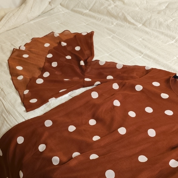 Preston & York Brown and White Long Sleeve Sheath Dress - Picture 11 of 15